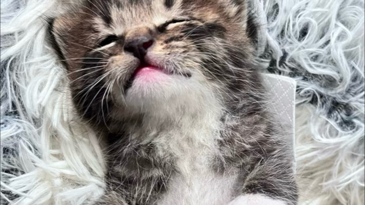 Vì nó được vớt lên từ nước, nên hy vọng mỗi ngày sau này của nó đều có ánh nắng.