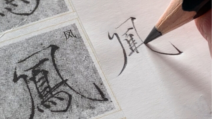 خط شو جين القريب من النحافة