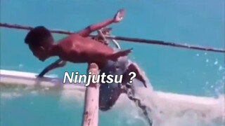 [Remix] Perilaku manusia seperti ninjutsu yang lucu