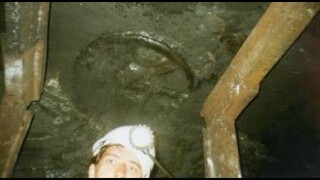 The 300 Million Year Old Wheel Discovered in a Coal Mine