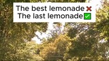 The best lemon❌The Last lemon ✅