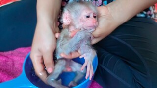 Deeply Care!! Clean up diaper for tiny adorable Luca after waking up