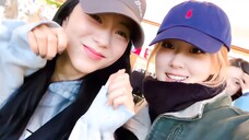 中字.ROSÉ'S VLOG - 悉尼VLOG(JISOO出镜)