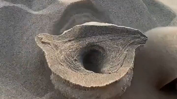 ข้างในนี้มีน้ำหนึ่งขวด