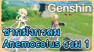 ซากมังกรลม Anemocolus รวม 1