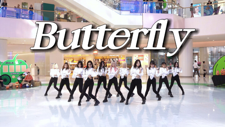 【本月少女】盛大而温柔的Butterfly｜愿你我像蝴蝶起飞永不停滞