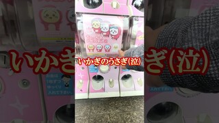 まさかのハプニング発生！ちいかわイカ着ソフビフィギュア出るまで回したらとんでもない事に!!