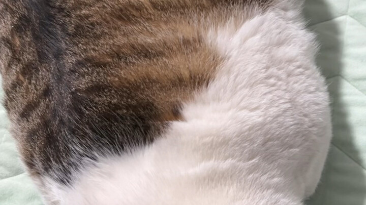 เขาหลับไปแล้ว