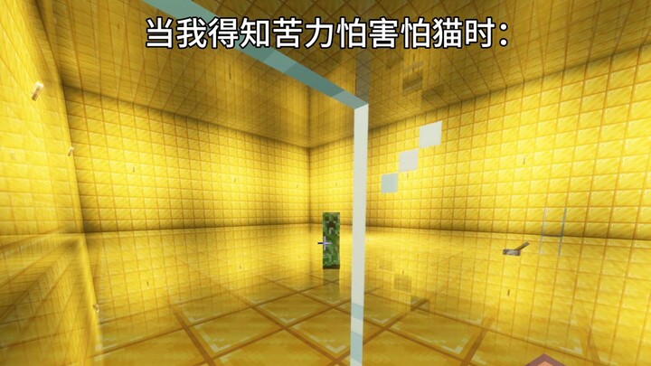 Khi tôi biết creeper sợ mèo
