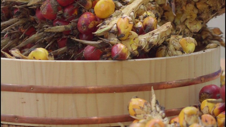 The palm oil in these snacks is extracted from palm fruits.