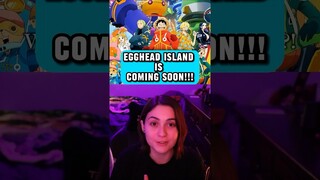 EGGHEAD IS COMING TO THE ANIME!!! #onepiece #luffy #egghead