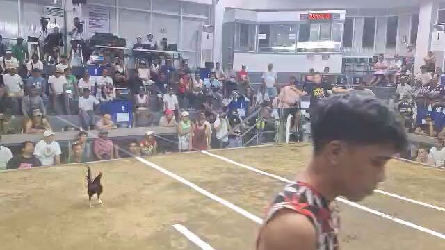 bantam man ako papatay din