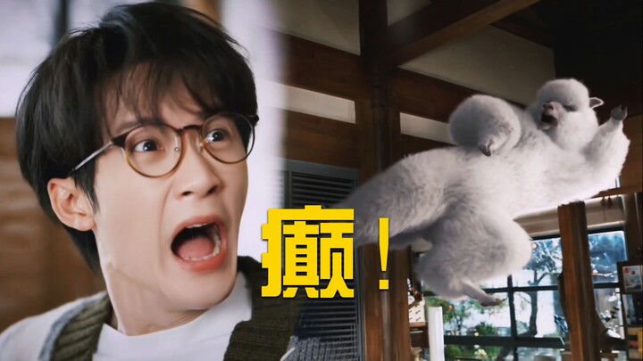 A legendary, crazy drama—did you two have a blast acting it out? My girlfriend’s a llama?? The cross