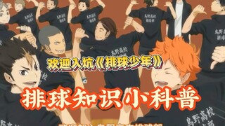 Understand volleyball matches in 3 minutes—welcome to the wonderful world of mini volleyball!