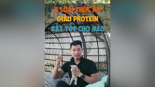 6 loại thức ăn giàu Protein rất tốt cho Mèo tuitienpet dcgr pet LearnOnTikTok education cat