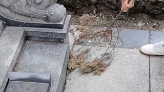 真想不到，有人居然会无耻到这种地步。。。