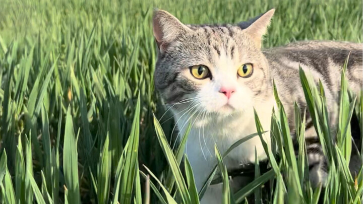 Even though I know he’ll never run too far and come back, my heart still skips a beat every time I s