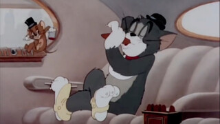 A rich cat with a luxury car