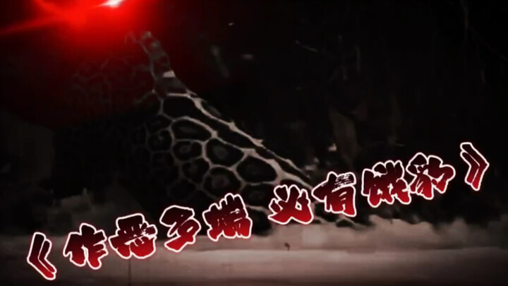 He who commits countless evils will surely meet a hungry leopard!!! Funny, Tier-1 Animals