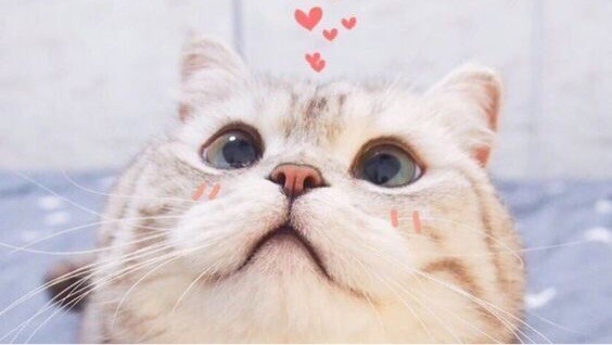 Cảm thấy cổ tích thặc lè thú dị :)))))))