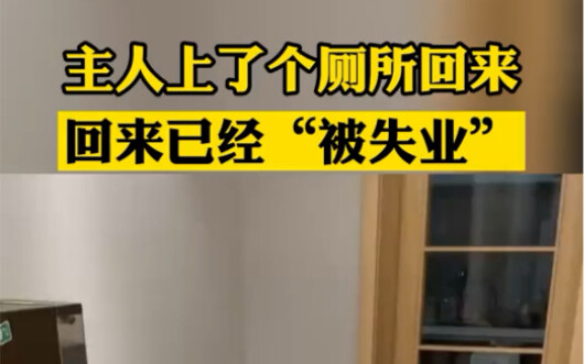 Chủ nhân đi vệ sinh về thì hóa ra lại “mất việc” #Thú_cưng_dễ_thương #Đặc_trị_muộn_buồn #Thao_tác_nà