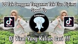 DJ TAK GENGGEM TANGANMU TAK ELUS PIPIMU SPEED UP | DJ TULUS AGIL FVNKY VIRAL TIK TOK 2024 !