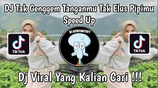 DJ TAK GENGGEM TANGANMU TAK ELUS PIPIMU SPEED UP | DJ TULUS AGIL FVNKY VIRAL TIK TOK 2024 !