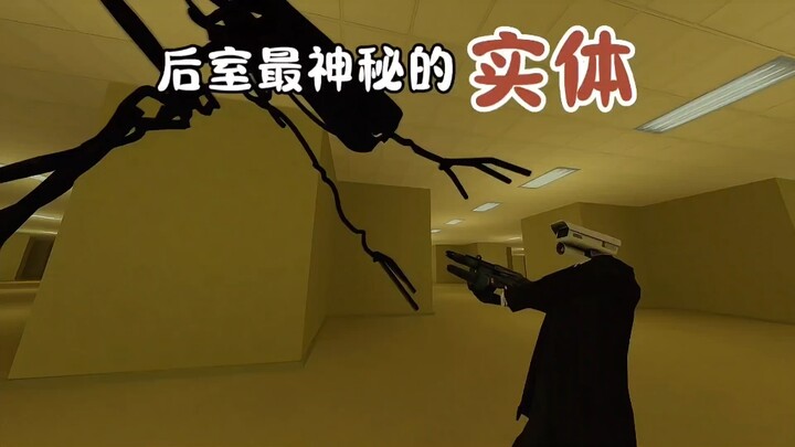The most mysterious entity in the back room is actually this? What is the origin of this entity that