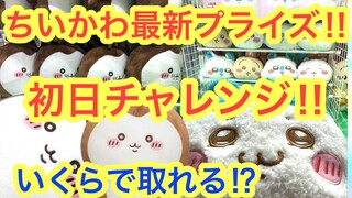 【ちいかわ】ちいかわカブトムシBIGぬいぐるみにハチワレ神ポーチ！！ちいかわ最新プライズに挑む！！＾＾