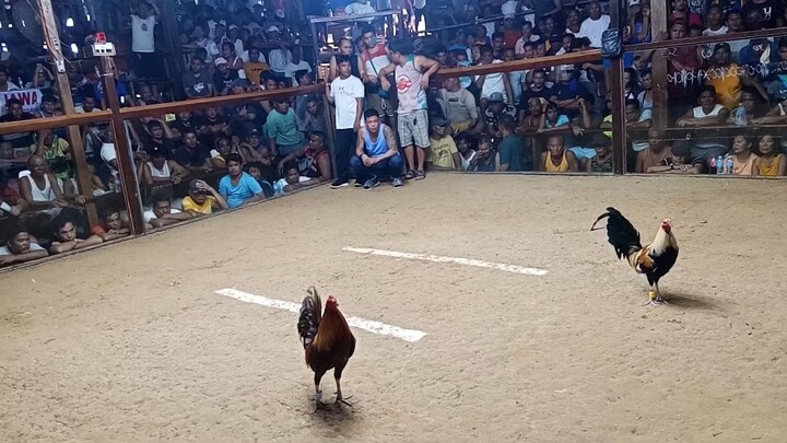 3hits ulotan 1st fyt JJV GF win