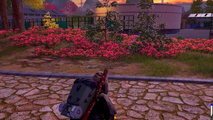 "Top-Level Backstabber"