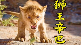 狮王辛巴的传奇一生，为父亲报仇，亲手夺回王位