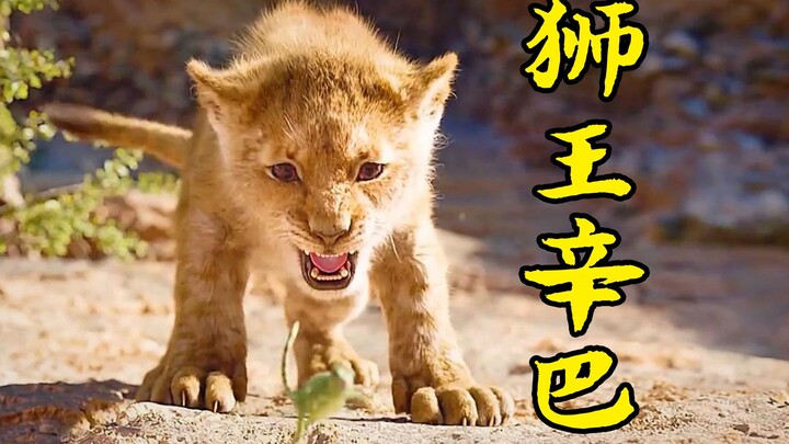 The legendary life of Simba, the Lion King: avenging his father and reclaiming the throne with his o