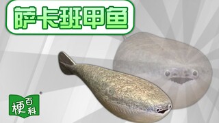 【梗百科】萨卡班甲鱼是啥梗？