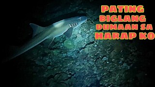 ep187,pating biglang dumaan sa harap ko, night spearfishing Philippines