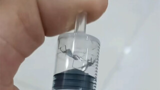 刺激，一会高压舱，一会低压舱！