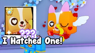 I Hatched New Huge Cupid Corgi! - Pet Simulator X Roblox