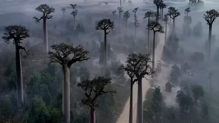 "This is probably the charm of nature."
