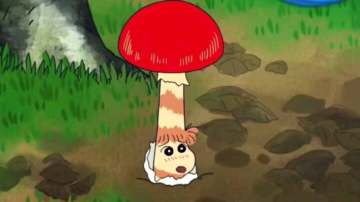 Shin-chan Mushroom Diary cartoon is updated every day! Crayon Shin-chan!