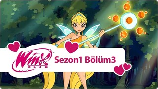 Winx Club - Sezon 1 Bölüm 3 - Alfea'da Dersler Başlıyor