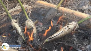 Cá Lóc Nướng Trui Đặc Sản Hương Vị Miền Tây | Hội Ngộ Miền Tây - Tập 373