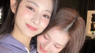 Shark tái hôn và lại hạnh phúc! [Châu Tử Du + Sana] Em có anh rồi!