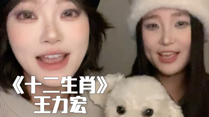 “ในโลกที่แสนสงบสุข” | คัฟเวอร์เพลง “สิบสองนักษัตร” โดย หวังลี่หง