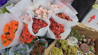 I'm surrounded by flowers! Vtuber takes you to a small flower market hidden in the winter market!