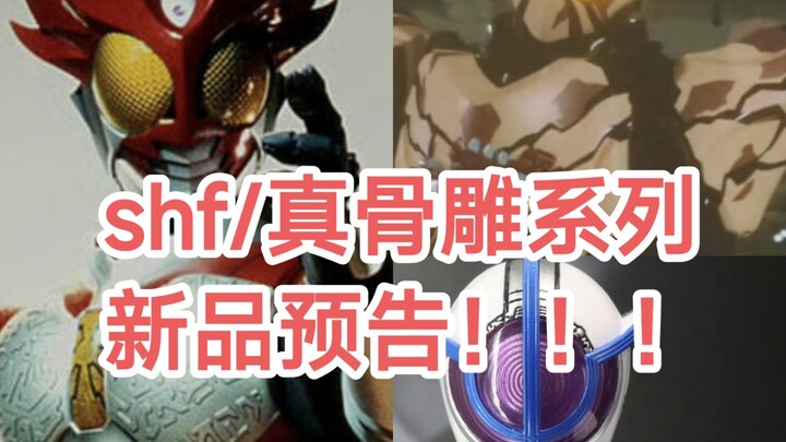 [新款shf/真骨雕情报]闪耀形态要来了？！假面骑士天帝何润东！酸贺研造登场！