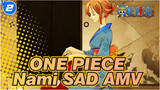 ONE PIECE|[Nami]Luffy: Do not cry my mariner (BGM: I really want to love this world!)_2