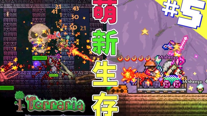 泰拉瑞亚 萌新生存 5