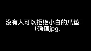 像我这种没事喜欢摸摸我家猫爪垫的人是拒绝不了小白的大号猫爪垫的！