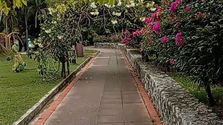 🇲🇾Beautiful morning, beautiful nature 🌴✨#GoodMorning #Malaysia