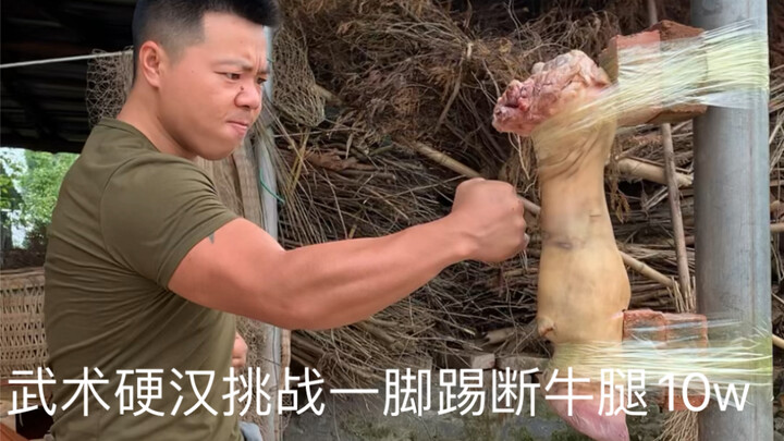 Pria tangguh bela diri menantang untuk mematahkan kaki sapi hanya dengan satu tendangan, 100 ribu